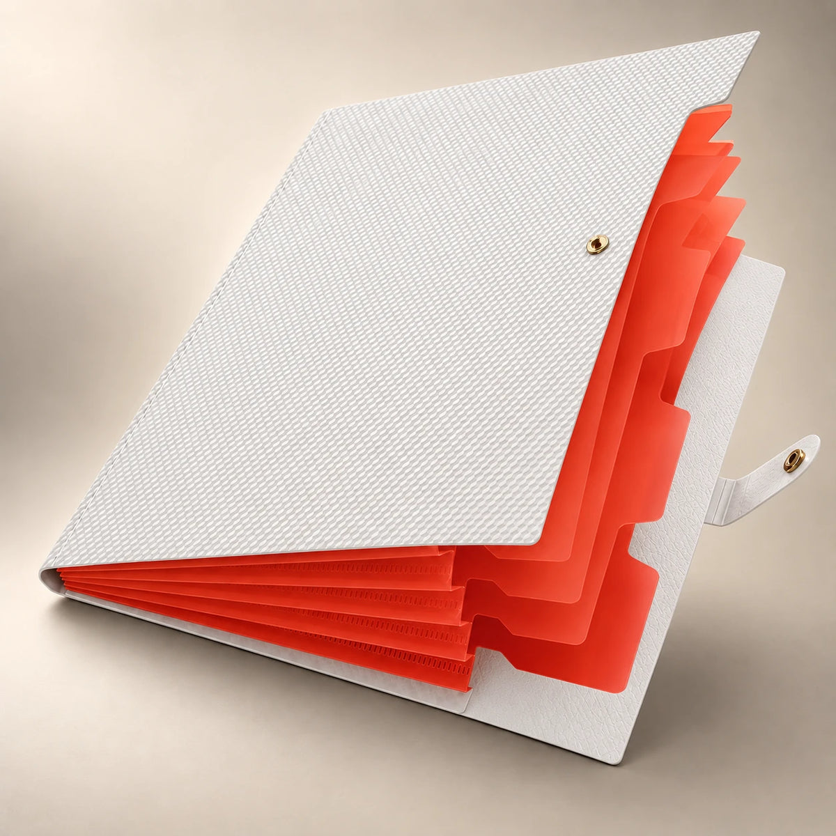 Chemise porte-document accordéon en plastique blanc, debout de face