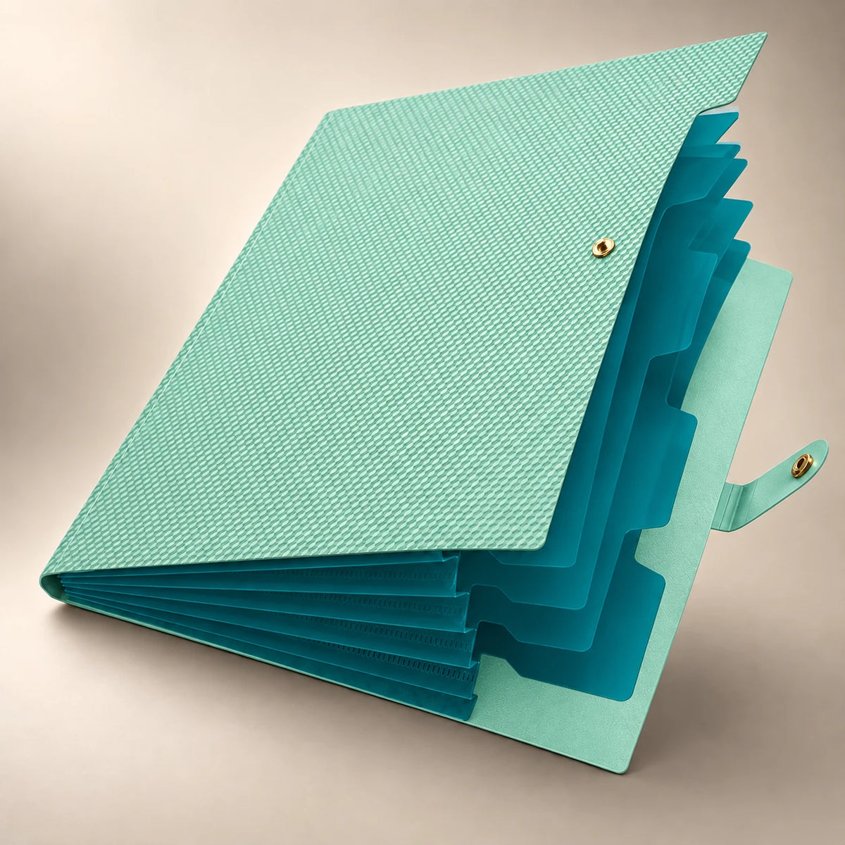 Chemise porte-document accordéon en plastique vert clair, debout de face