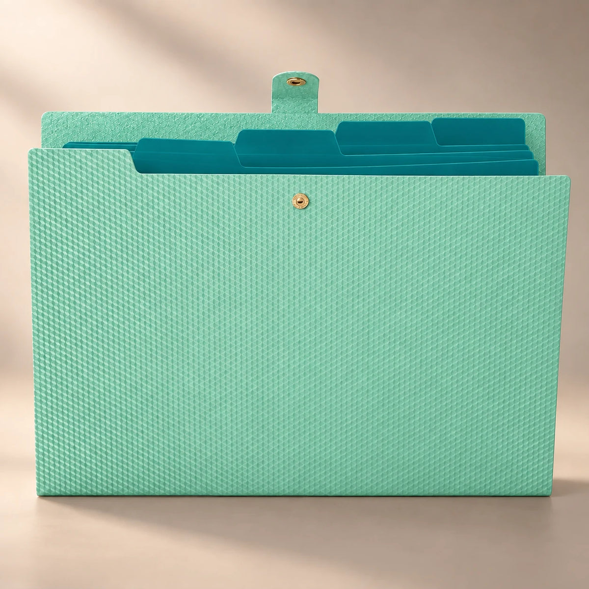 Chemise porte-document accordéon en plastique vert clair, à plat de face