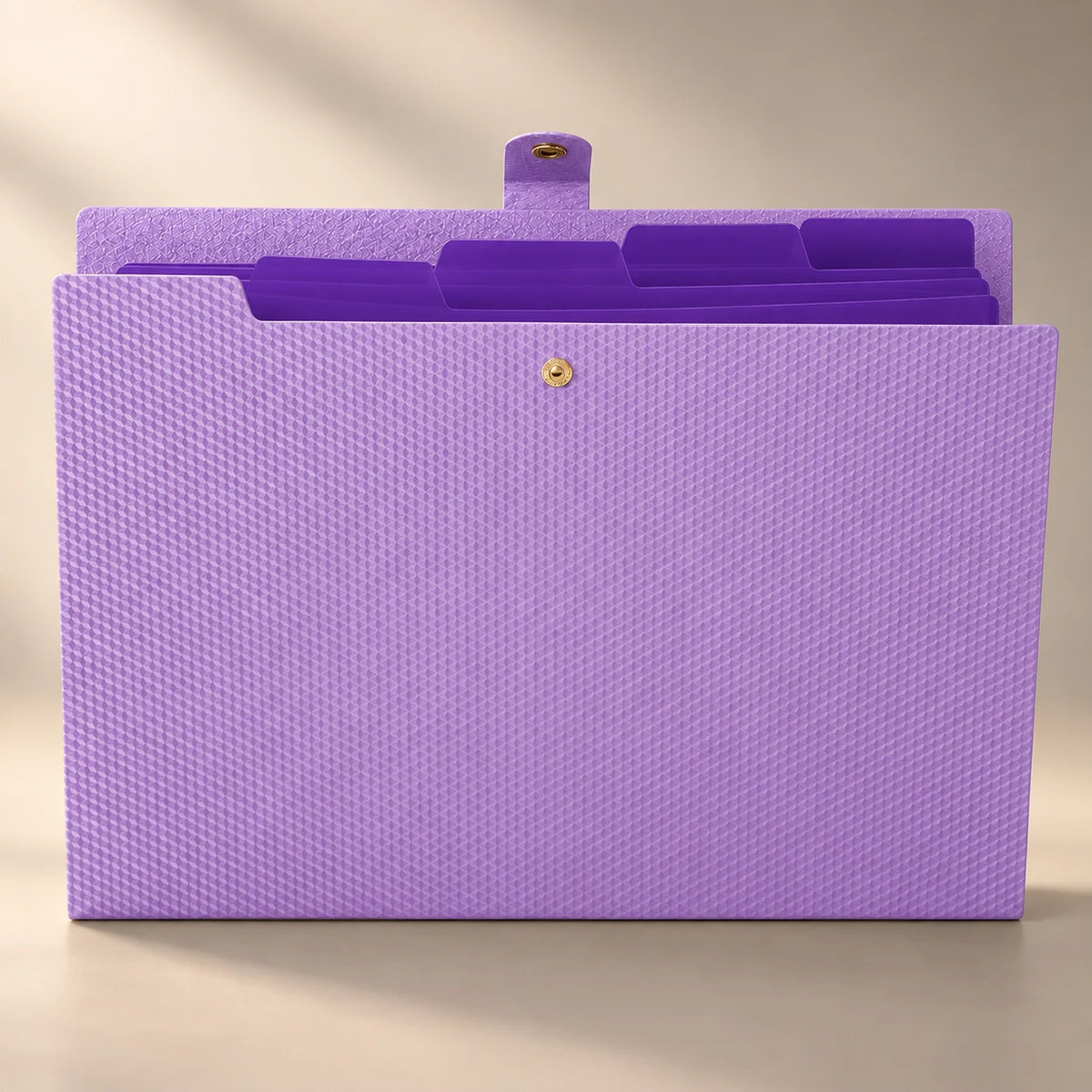 Chemise porte-document accordéon en plastique violet, à plat de face