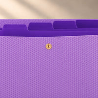 Macro de la fermeture à pression de la chemise accordéon en plastique violet