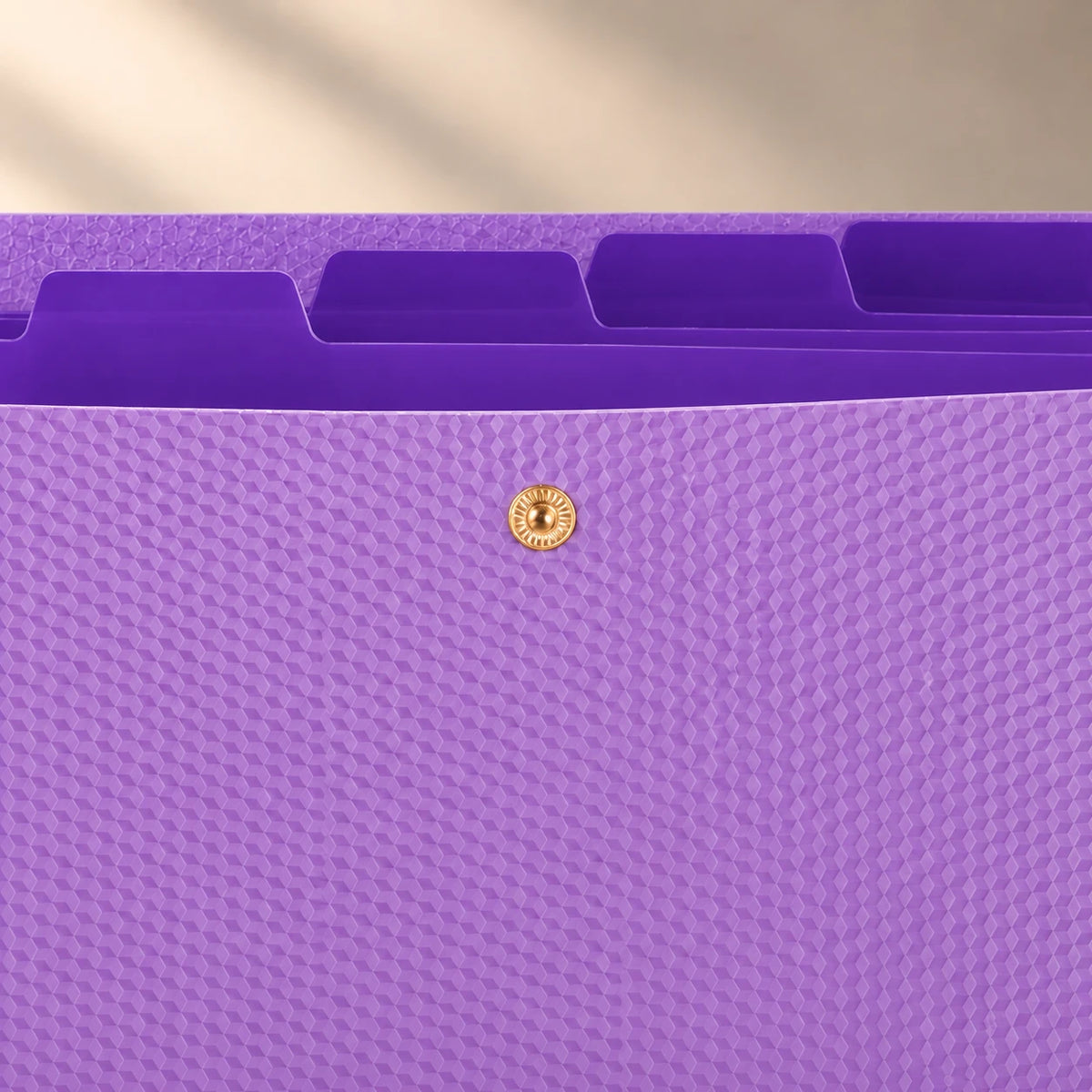 Macro de la fermeture à pression de la chemise accordéon en plastique violet